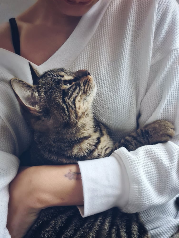 Person Hugging a Tabby Cat